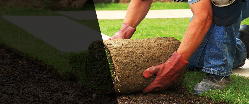 Sandia Landscapers
